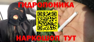 стаф Шебекино