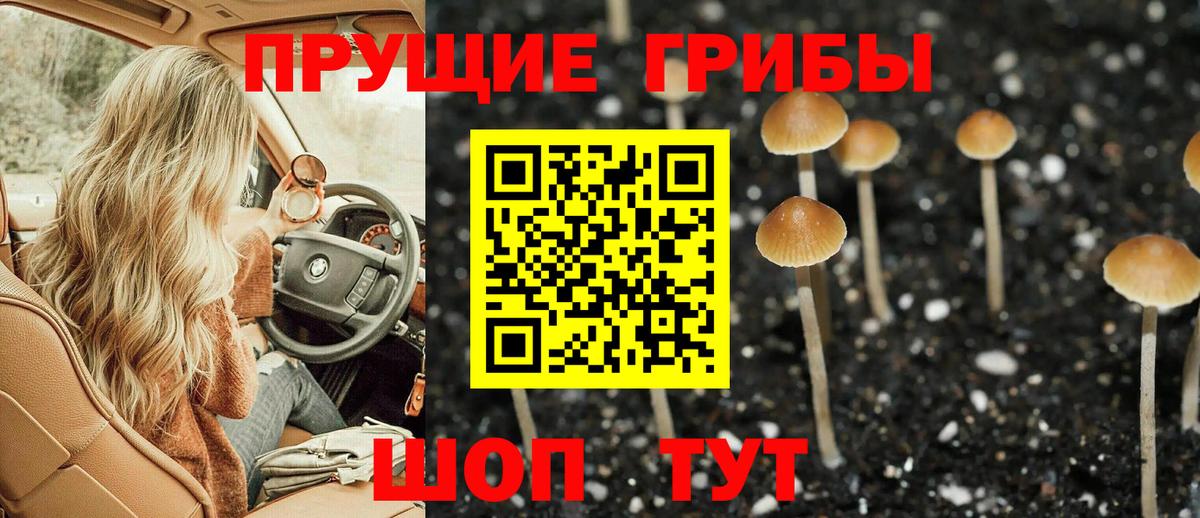 Новочеркасск  Псилоцибиновые грибы мицелий  Псилоцибиновые грибы Cubensis  Вход с VPN 